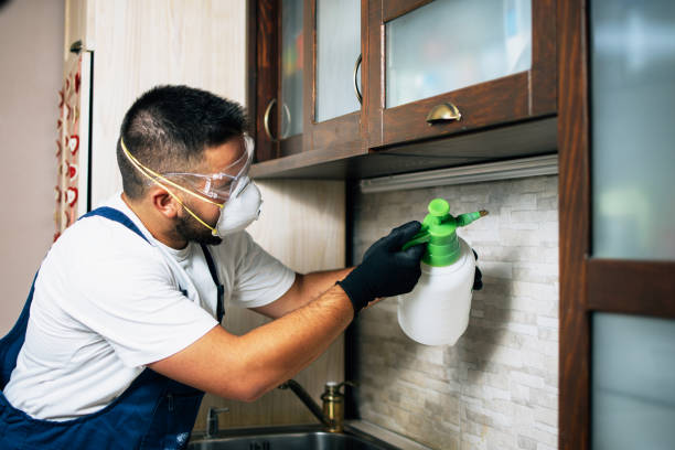 Best Local Pest Control Services  in Mount Clemens, MI