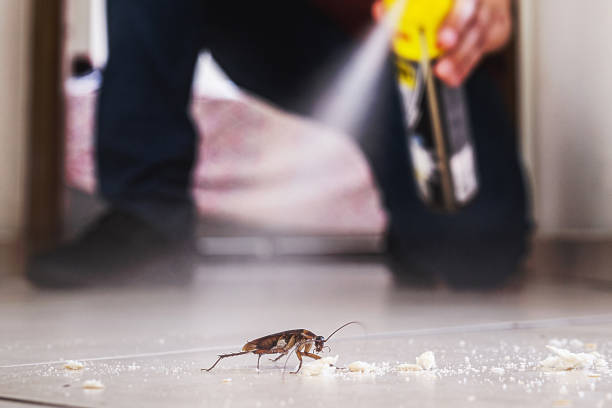 Best Pest Control for Businesses  in Mount Clemens, MI